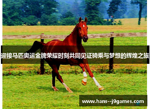 迎接马匹奥运金牌荣耀时刻共同见证骑乘与梦想的辉煌之旅