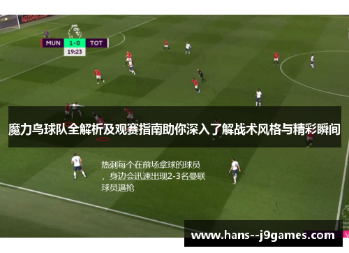 魔力鸟球队全解析及观赛指南助你深入了解战术风格与精彩瞬间